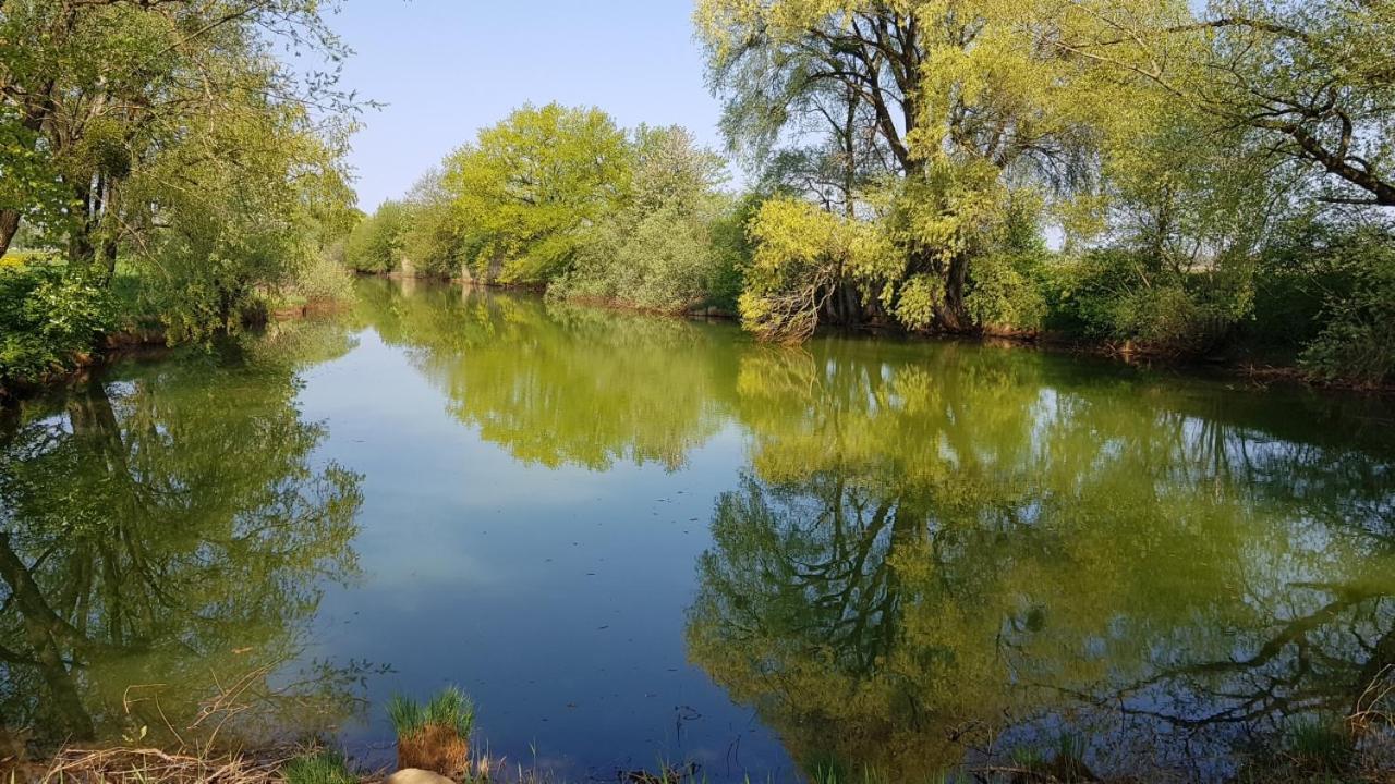 Appartamento Haus Blumenfeld-Schwaiger Übersee Esterno foto